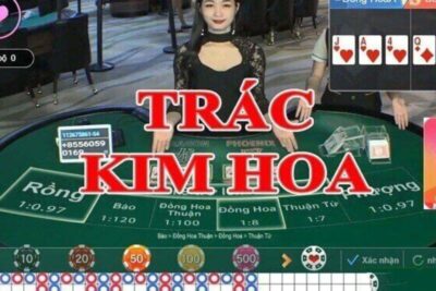 Cách Chơi Bài Trác Kim Hoa VN88 – Bí Kíp Chiến Thắng Từ Cao Thủ